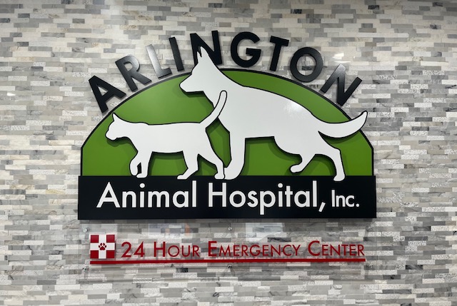 Arlington Animal Hospital in Riverside - Compassionate Care, Advanced  Technology